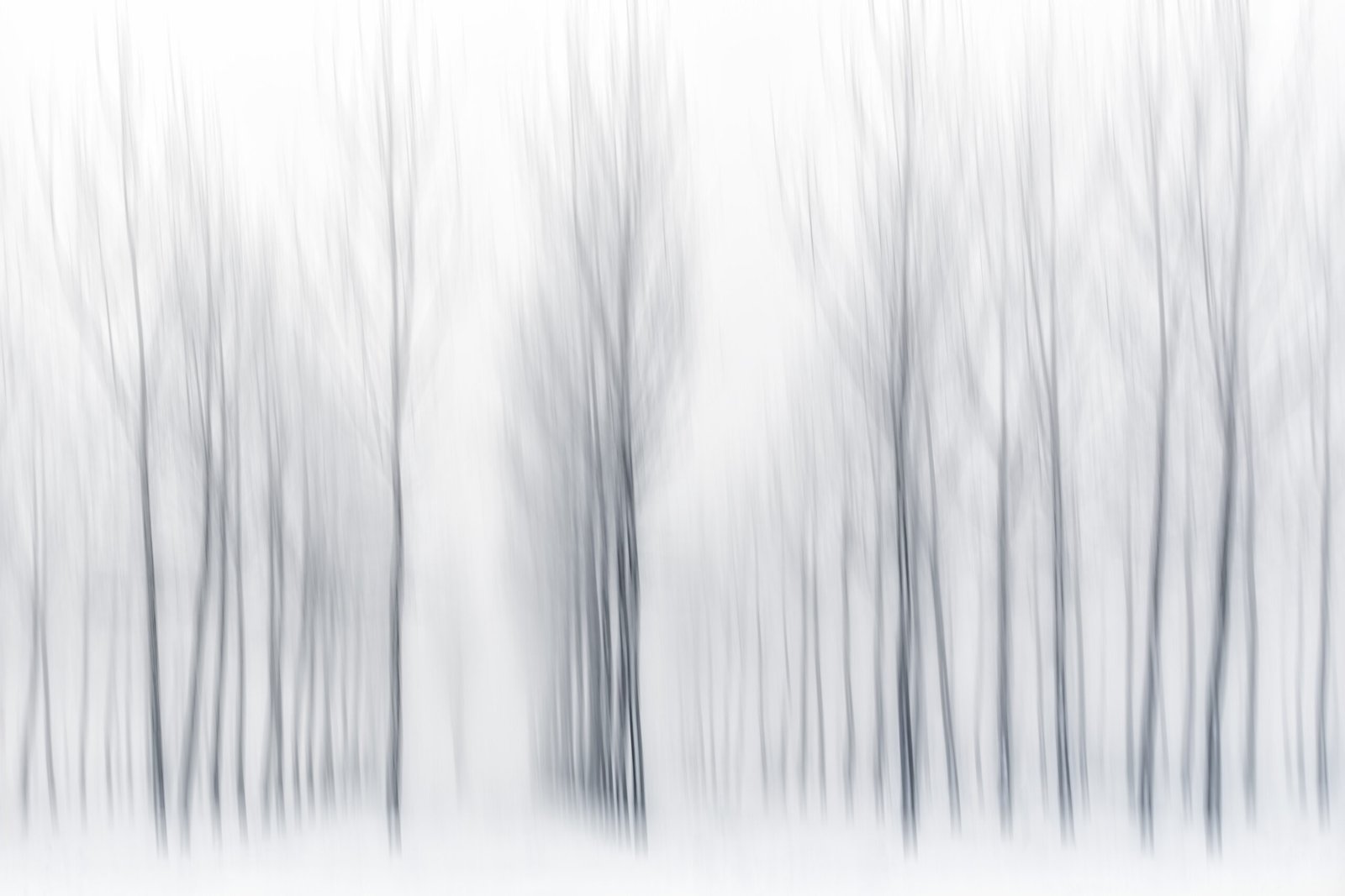 Fine Art / Conceptual 