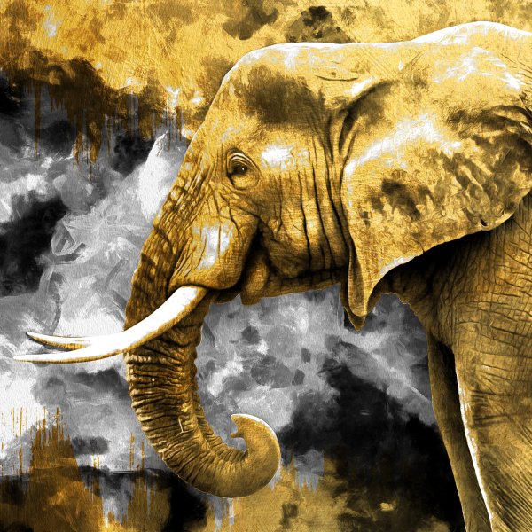 Why You Get Your Art Print On Canvas?